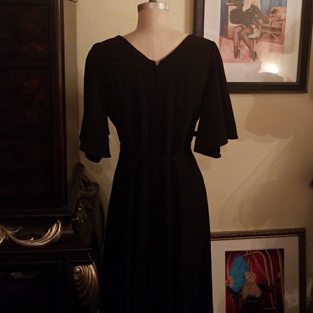 Pinupgirl Clothing dress - Picture 3 of 6